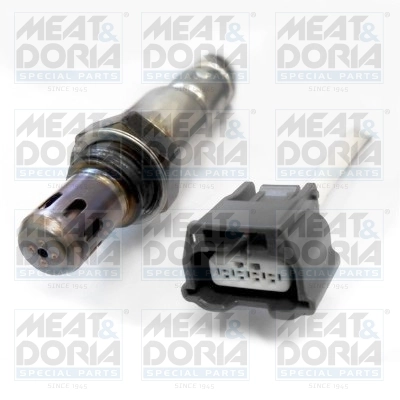 Oxygen Sensor